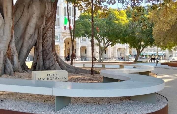 Bright Port View Apartment- Free Parking Cagliari Ngoại thất bức ảnh